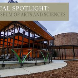 Macon’s Museum of Arts and Sciences