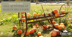 fall activities at Hamlin Hills Farm