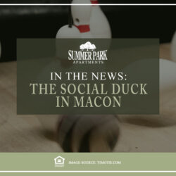 The Social Duck in Macon